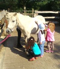Kindergeburtstag Pony putzen